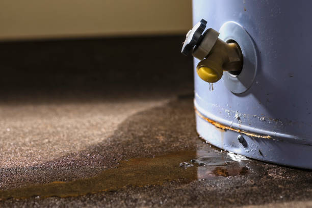 Best Water damage restoration cost  in Oglala, SD