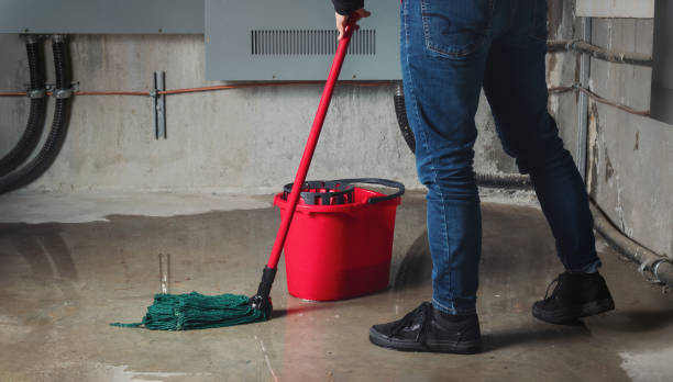 Best Water damage restoration near me  in Oglala, SD