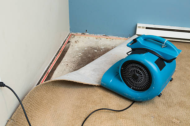 Best Water damage restoration company  in Oglala, SD