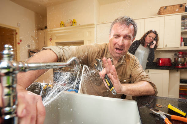Best Professional water damage repair  in Oglala, SD